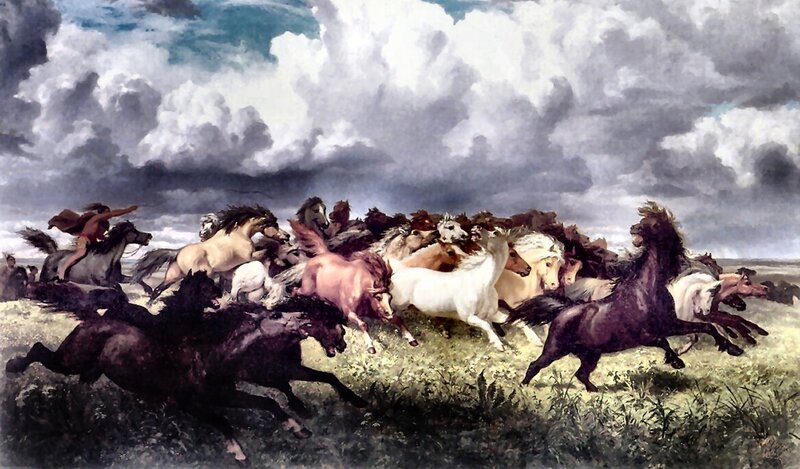 Running Horses in Field — Gray