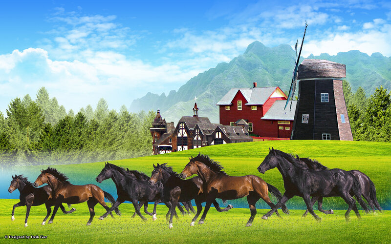 Running Horses in Field — Green
