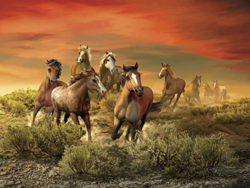 Running Horses in Field — Orange