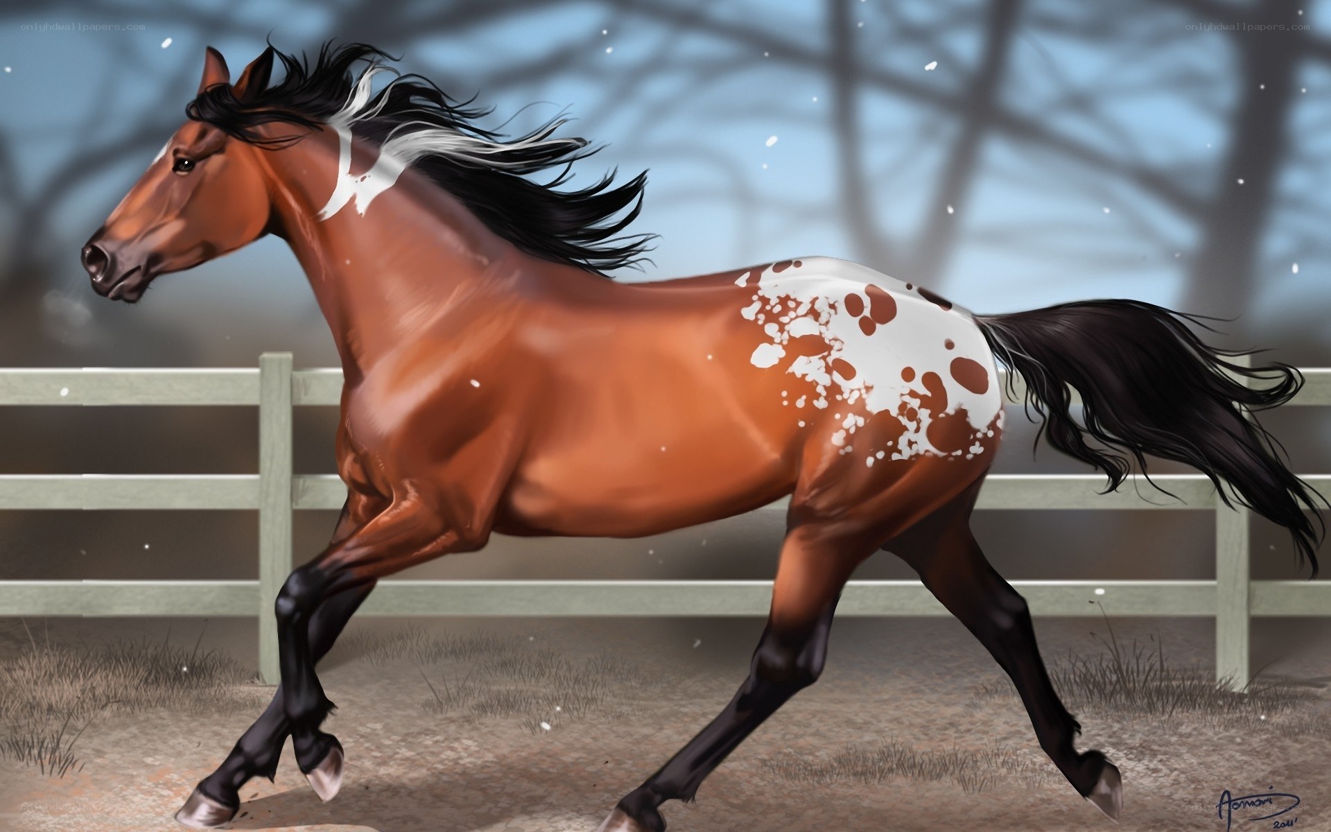 running pinto horse in snow
