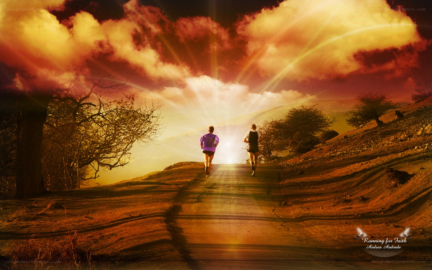 Running Toward the Light