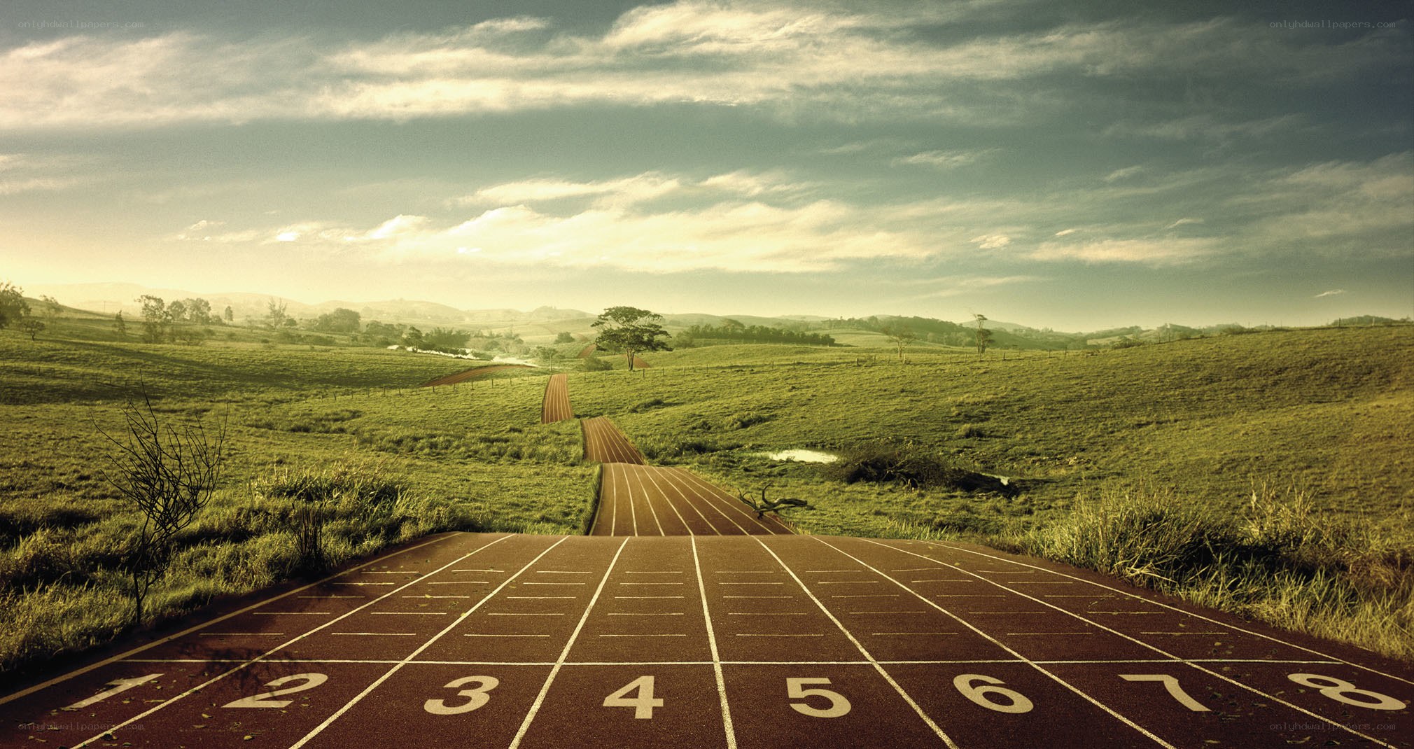 Running track in a green field