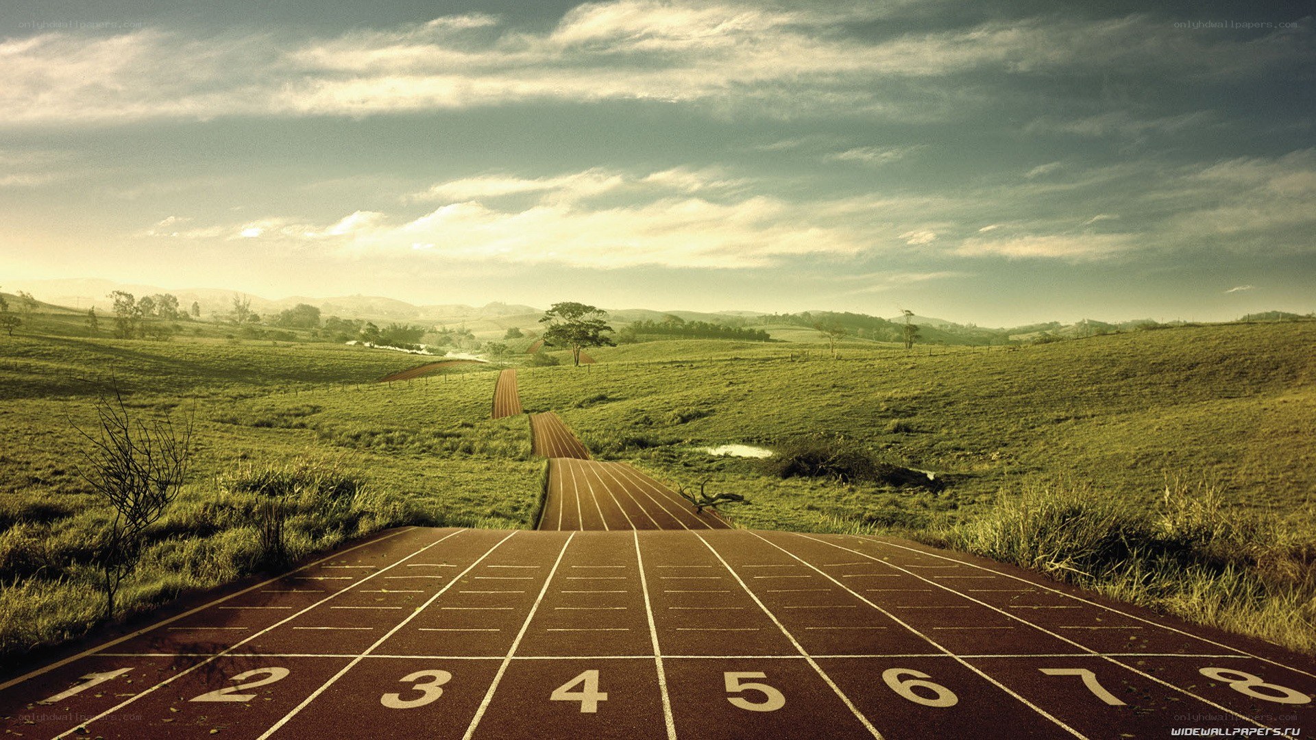 Running track in a green field