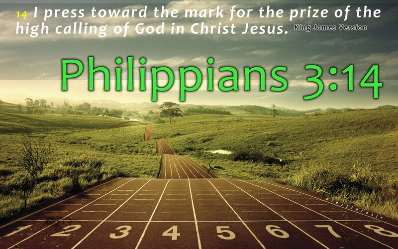 Running Track in Field — Green, Serene
