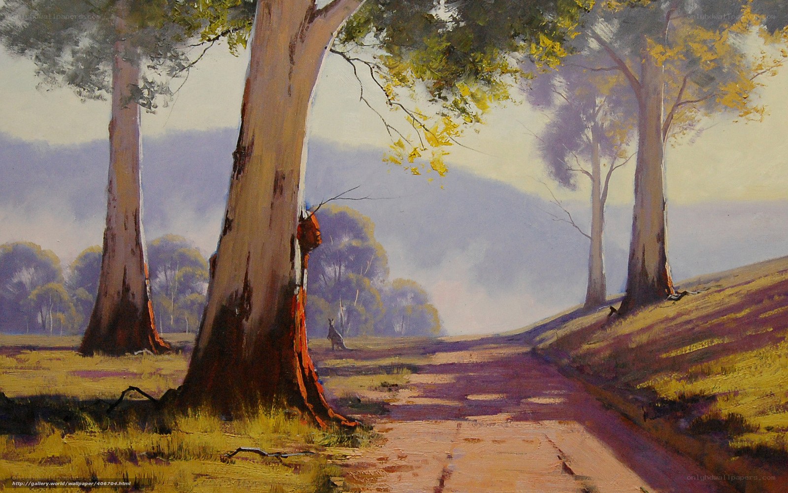 Rural Australian landscape