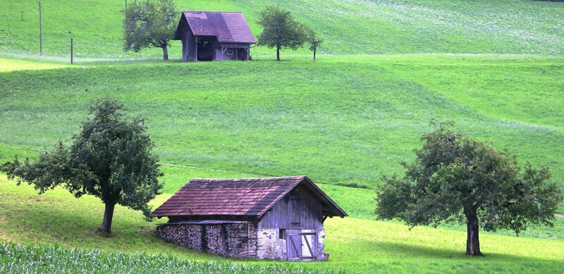 Rural barns on green hills