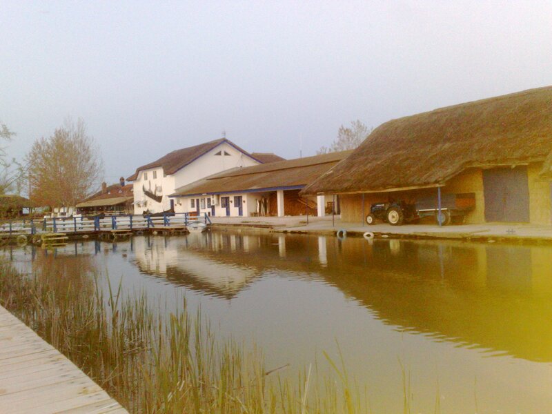 Rural buildings by a pond