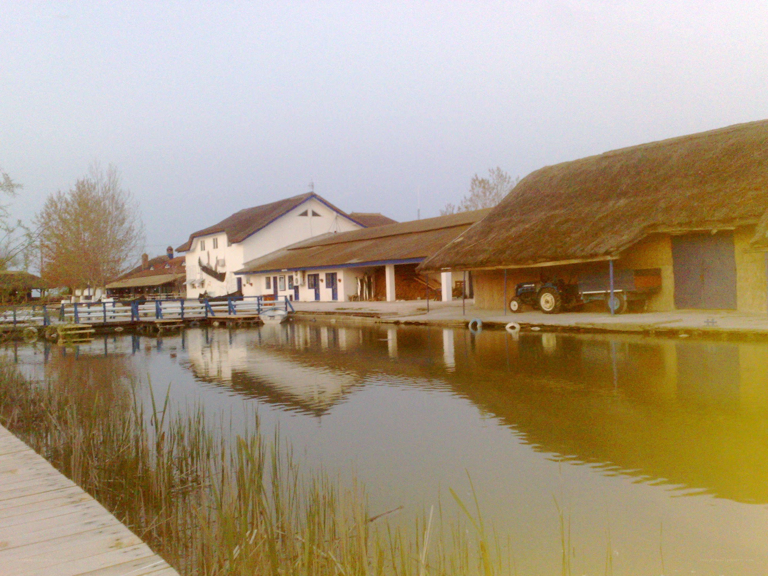 Rural buildings by a pond