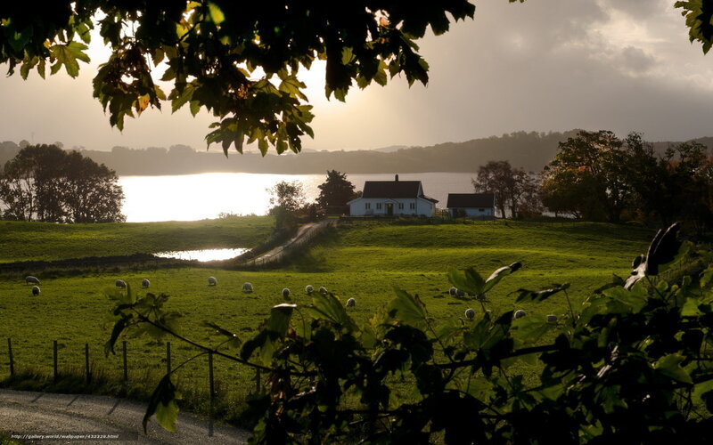 Rural cottage by the water