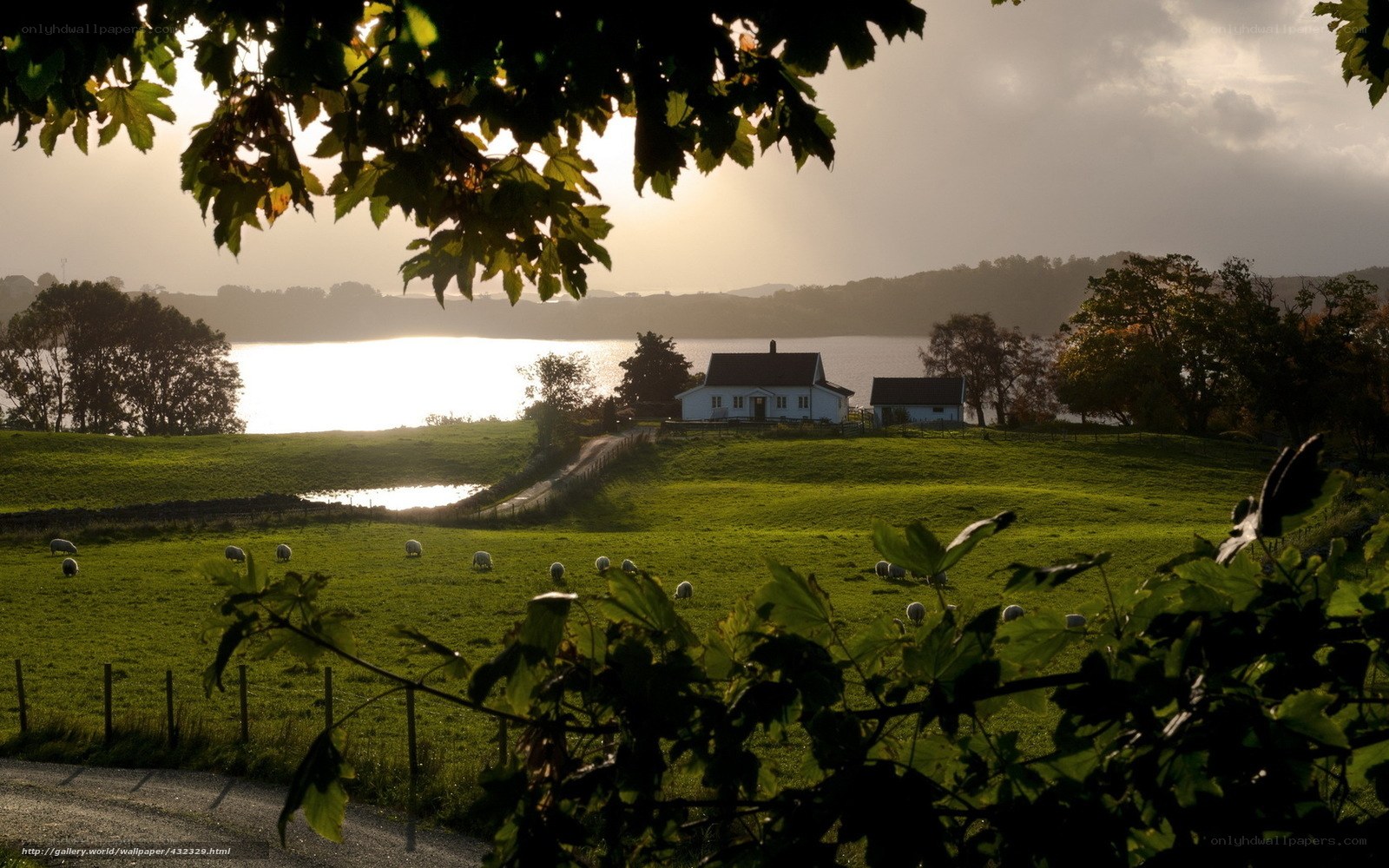 Rural cottage by the water