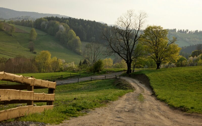 Rural dirt path in green hills