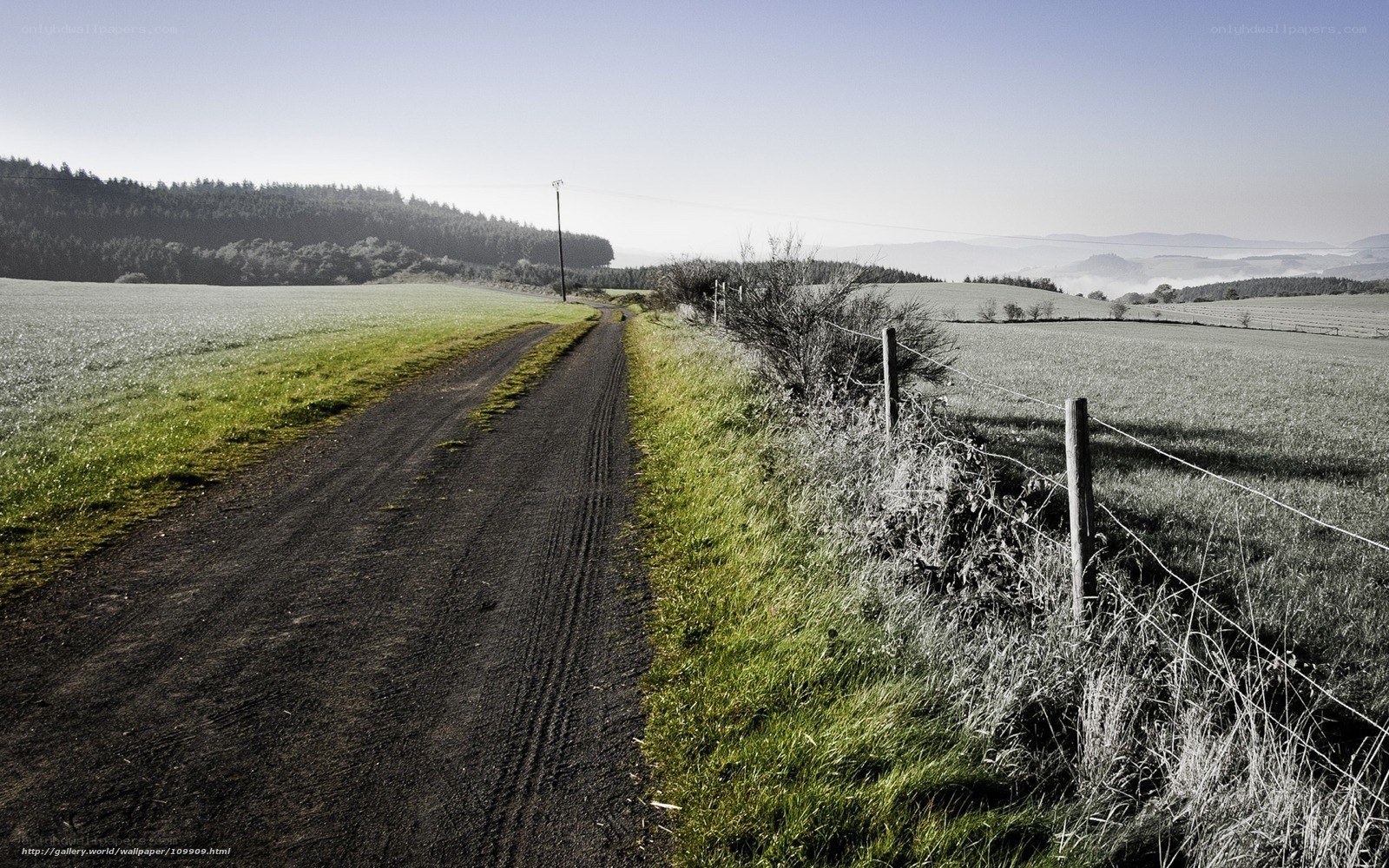 rural dirt road landscape