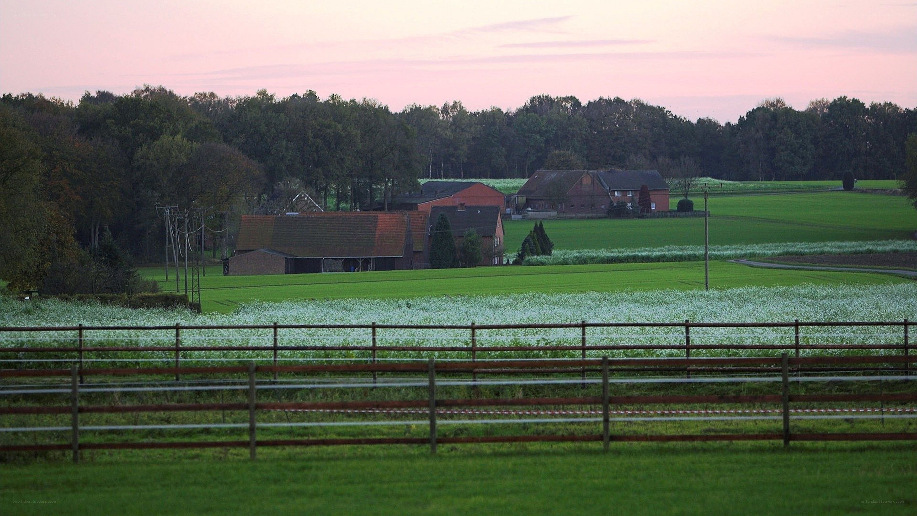 rural farm at dusk
