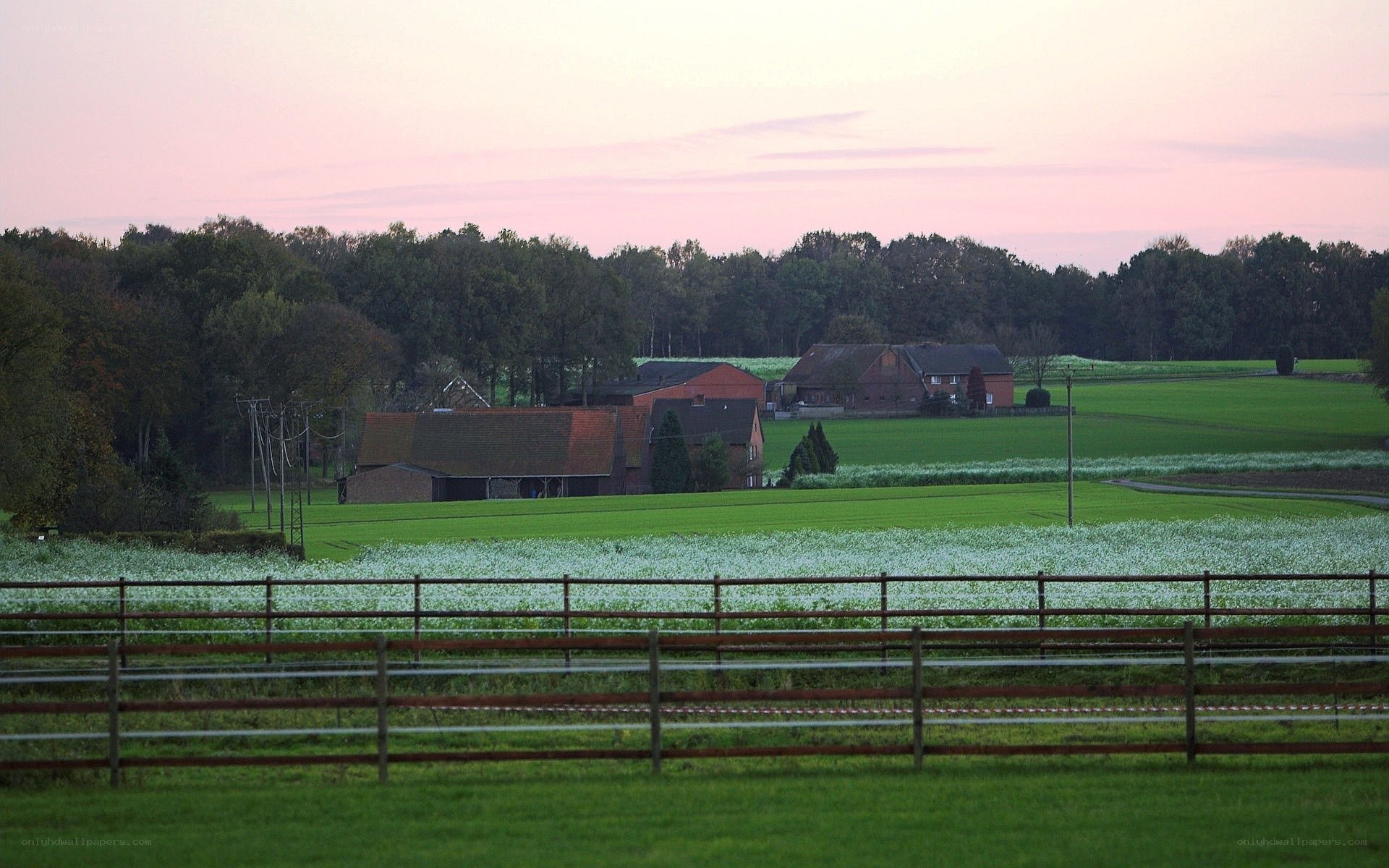rural farm at dusk