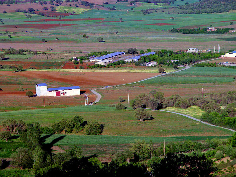 Rural Farm Buildings — Green