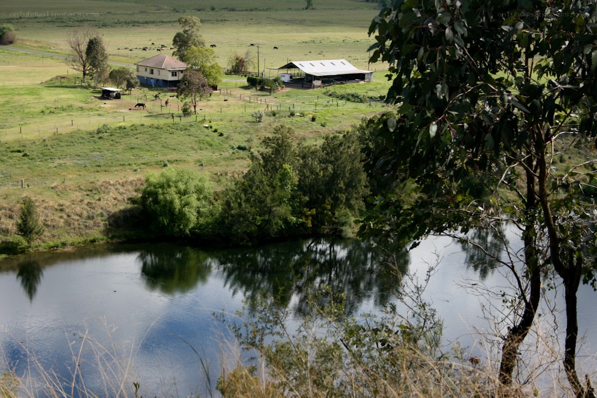 rural farm by a pond