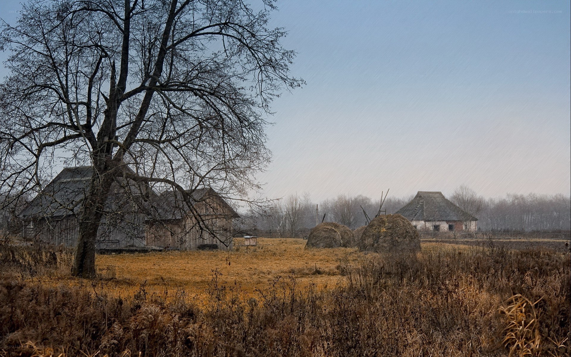 Rural farm in autumn