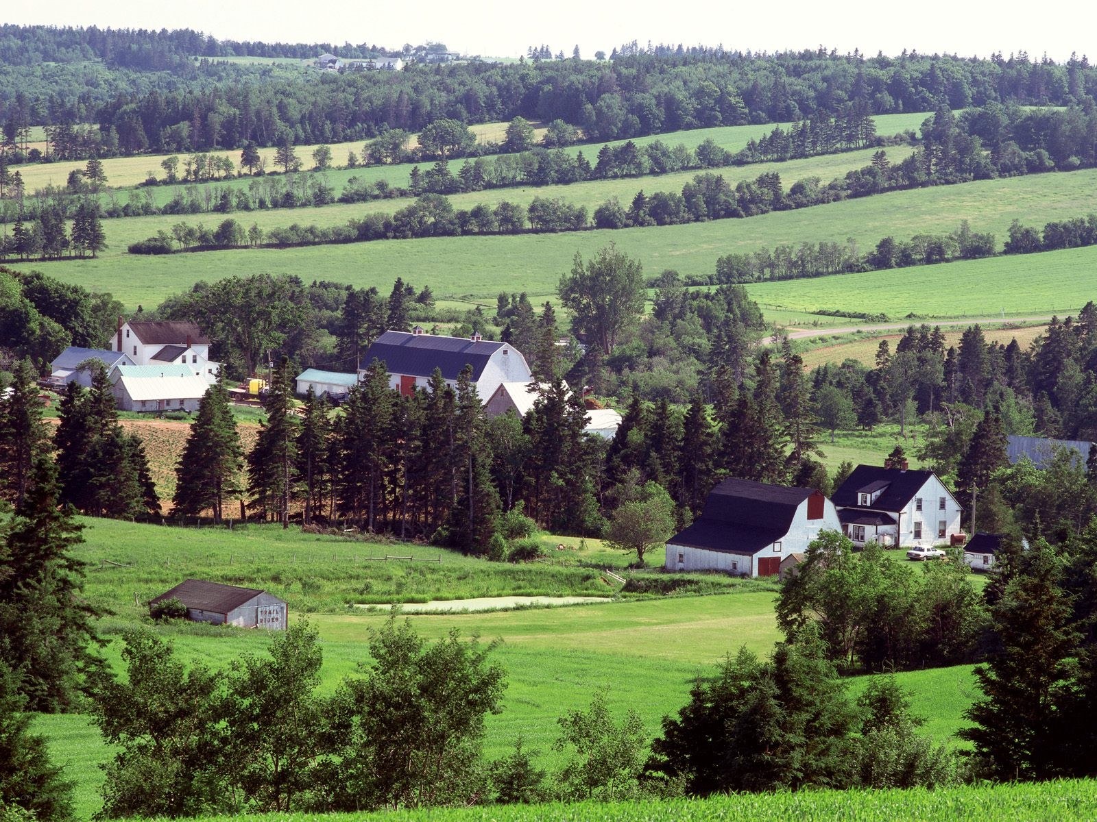 rural farm landscape