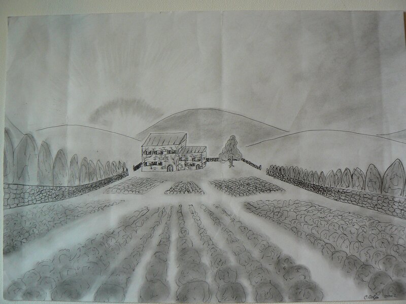 rural farm landscape drawing
