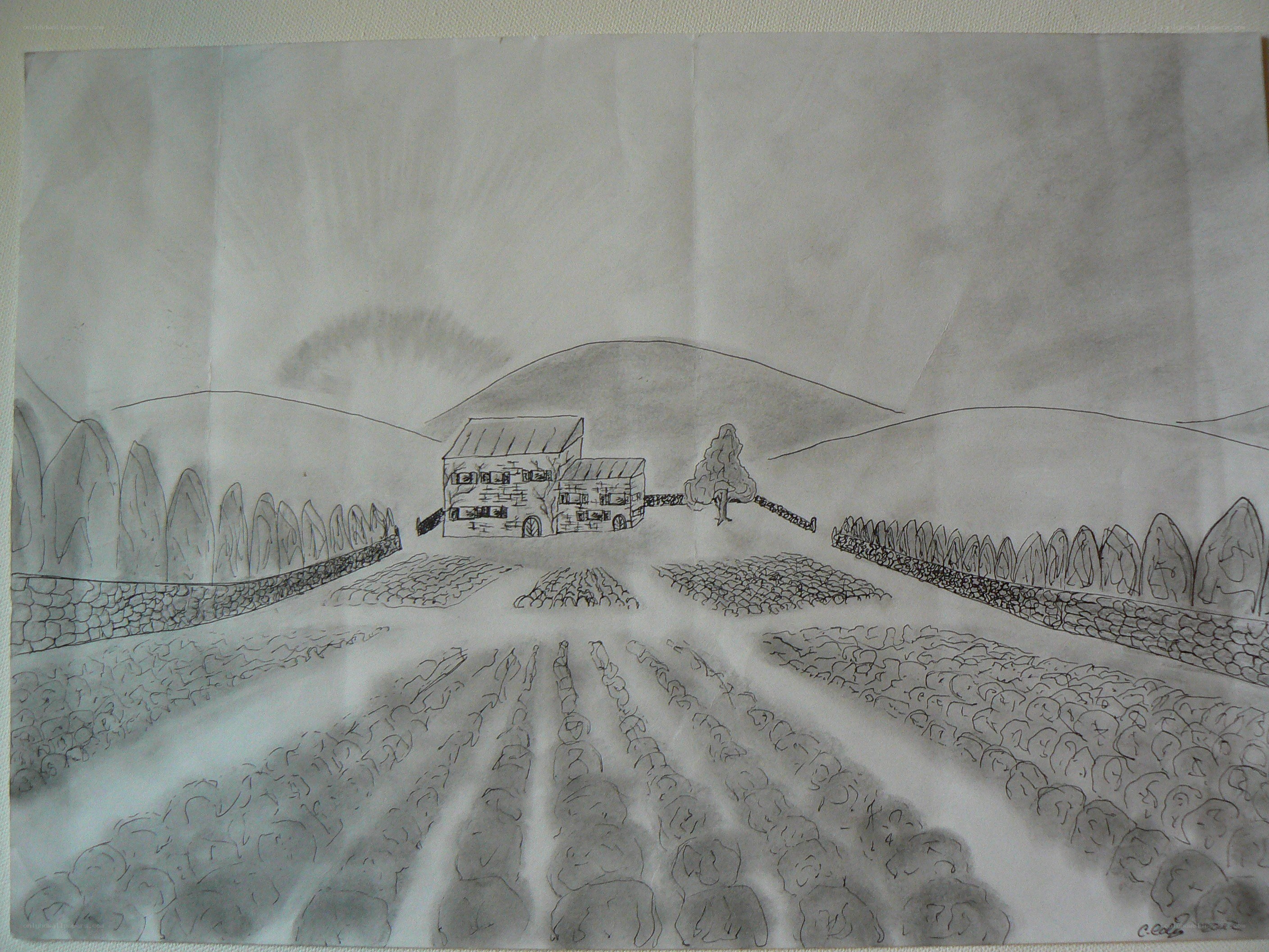 rural farm landscape drawing