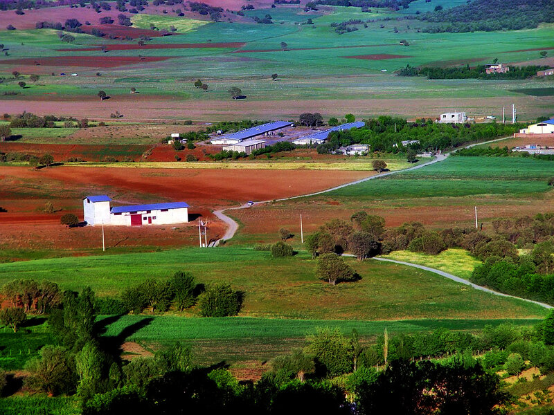 Rural Farm Landscape — Green, Serene, Afternoon