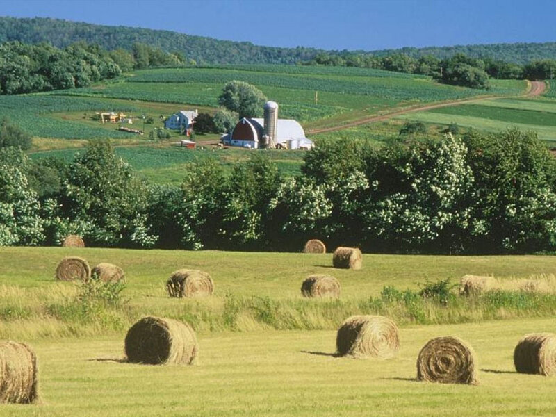 Rural farm landscape with hay bales