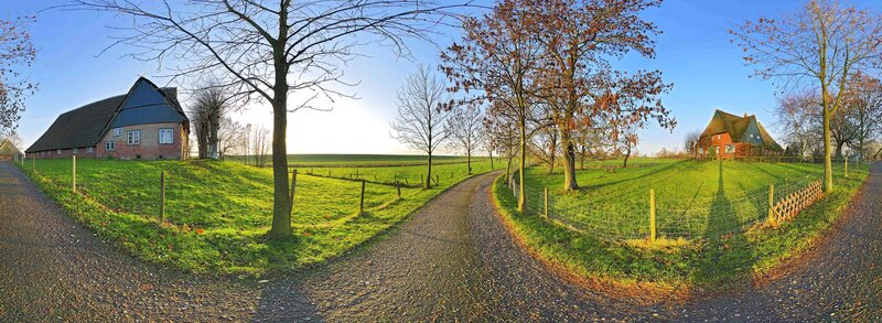 rural farm path at sunset