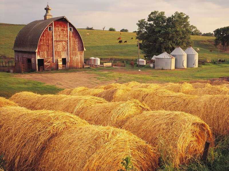 Rural farm with hay bales