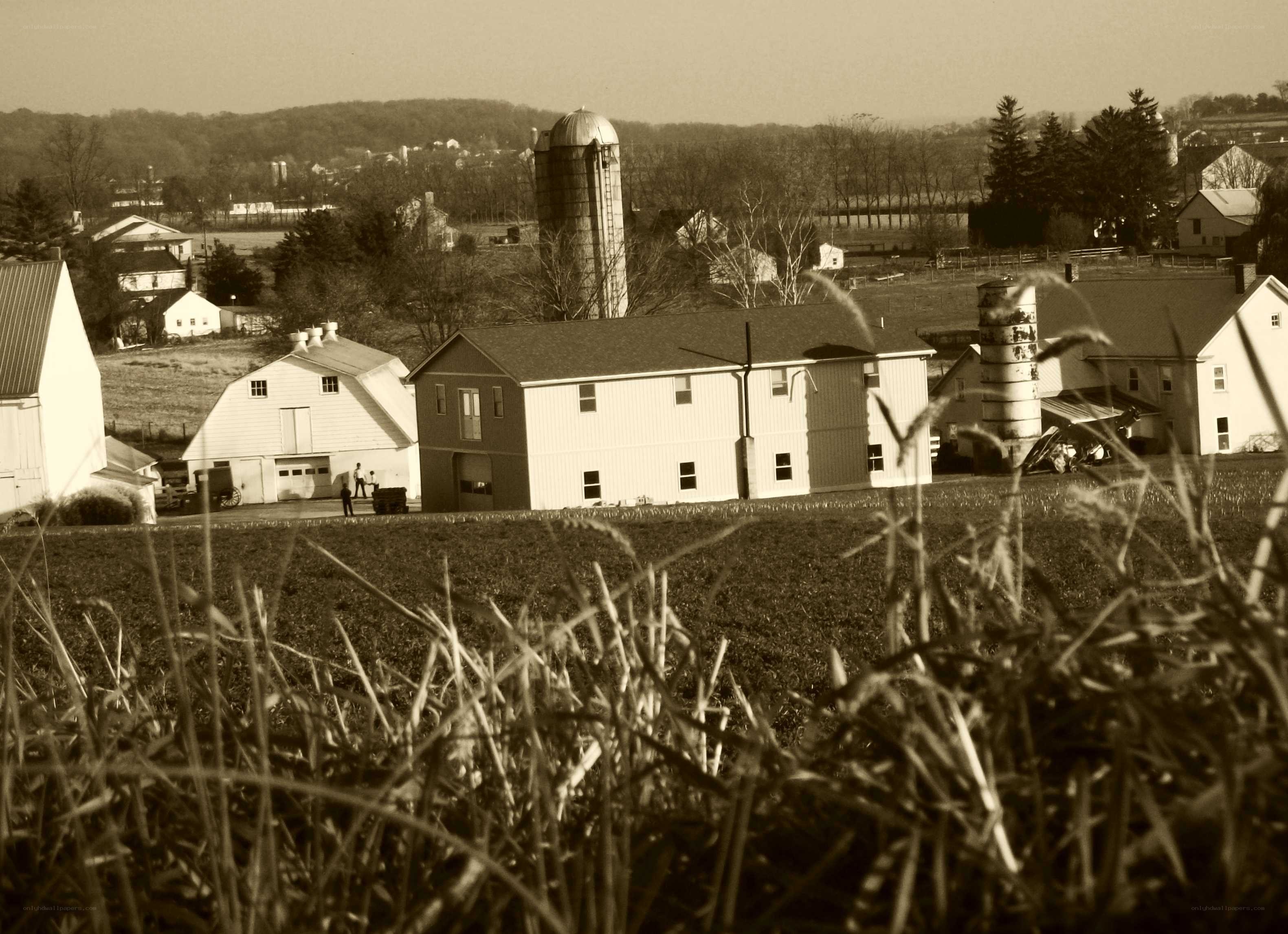 rural farm with silo