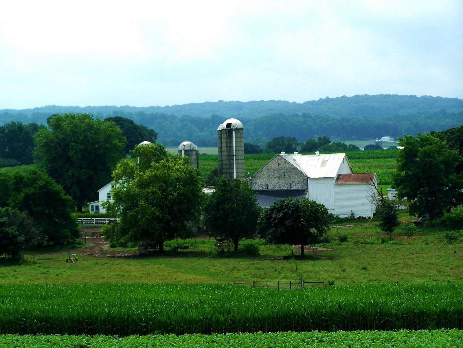 rural farm with silos