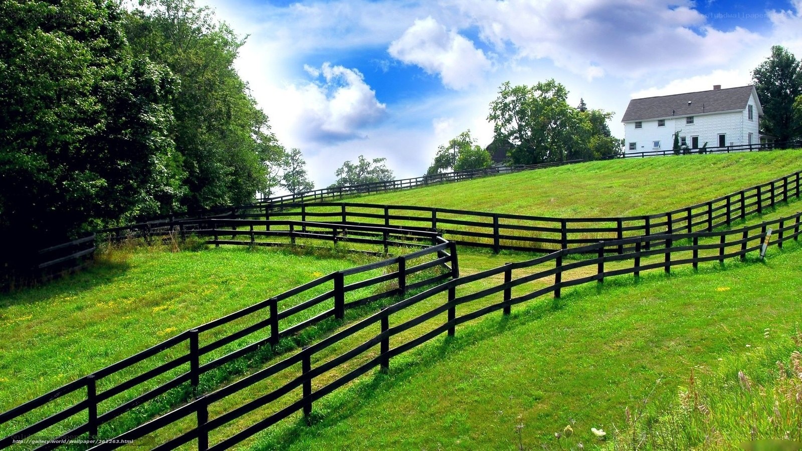 Rural farm with white house
