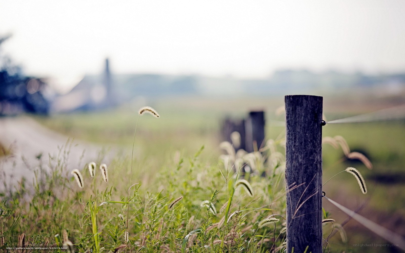 Rural fence and grassy field