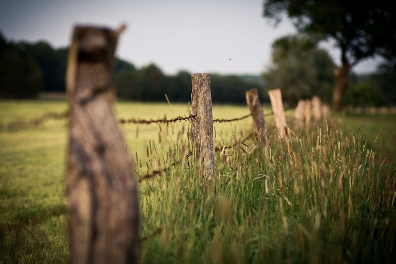 Rural fence in a green field