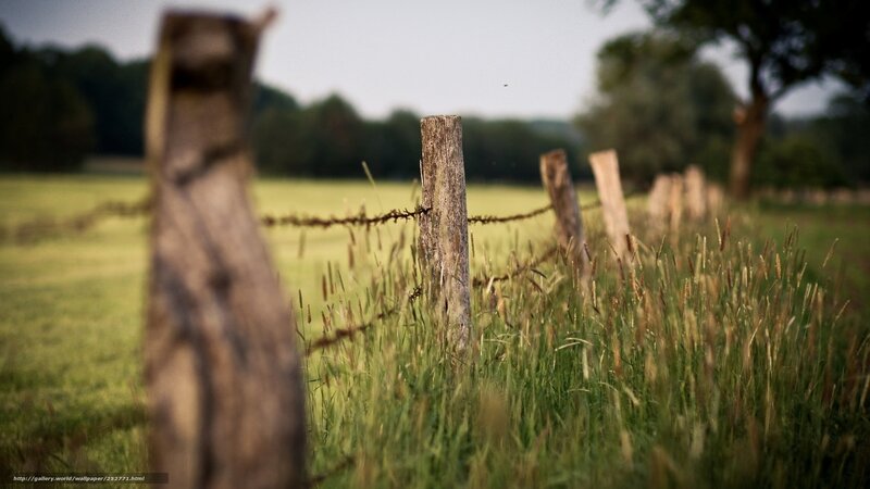 Rural fence in a green field