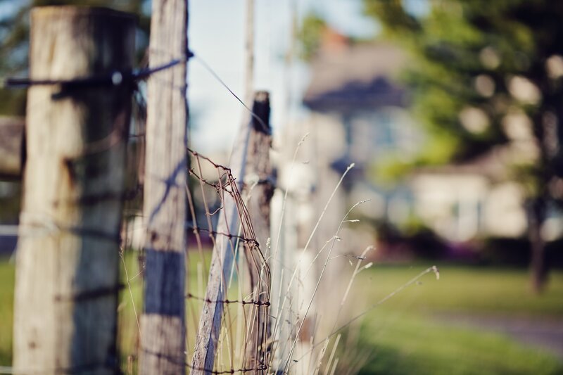 Rural fence with wild grass