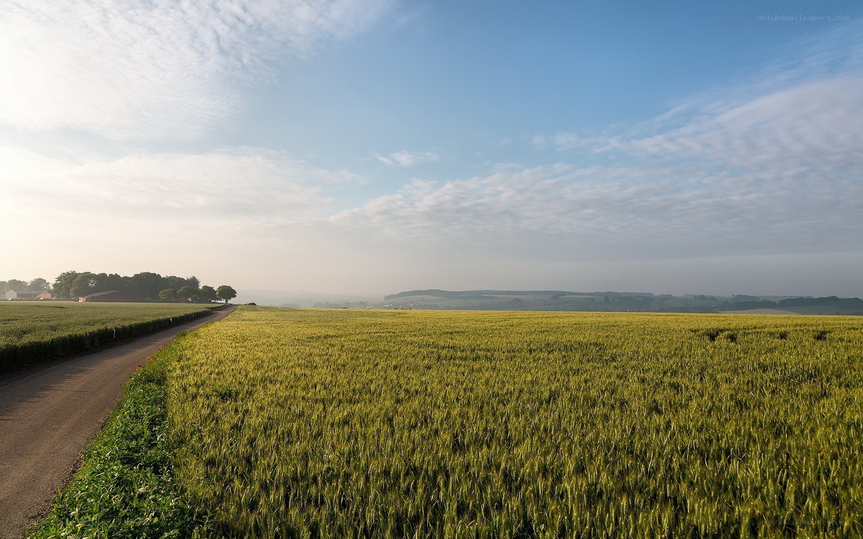 Rural field at sunrise