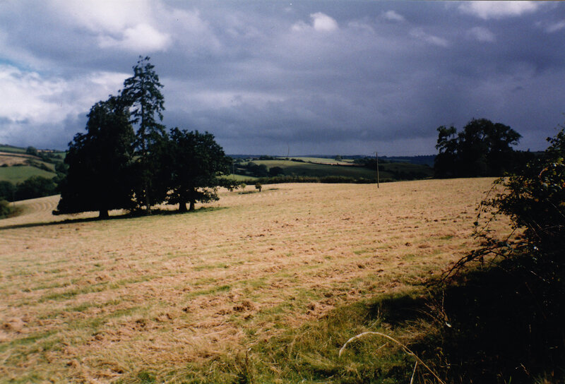 Rural field under stormy sky