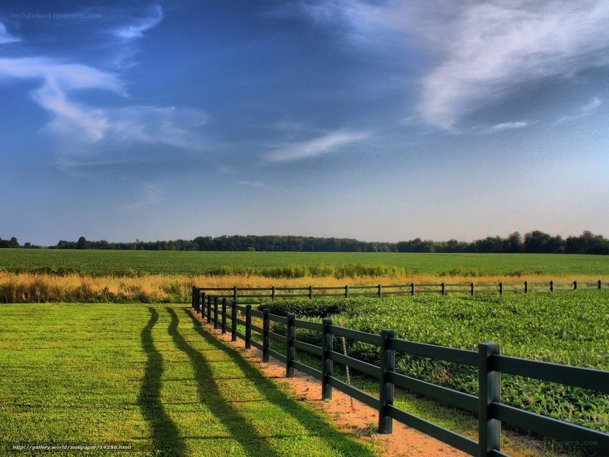 Rural Field with Fence