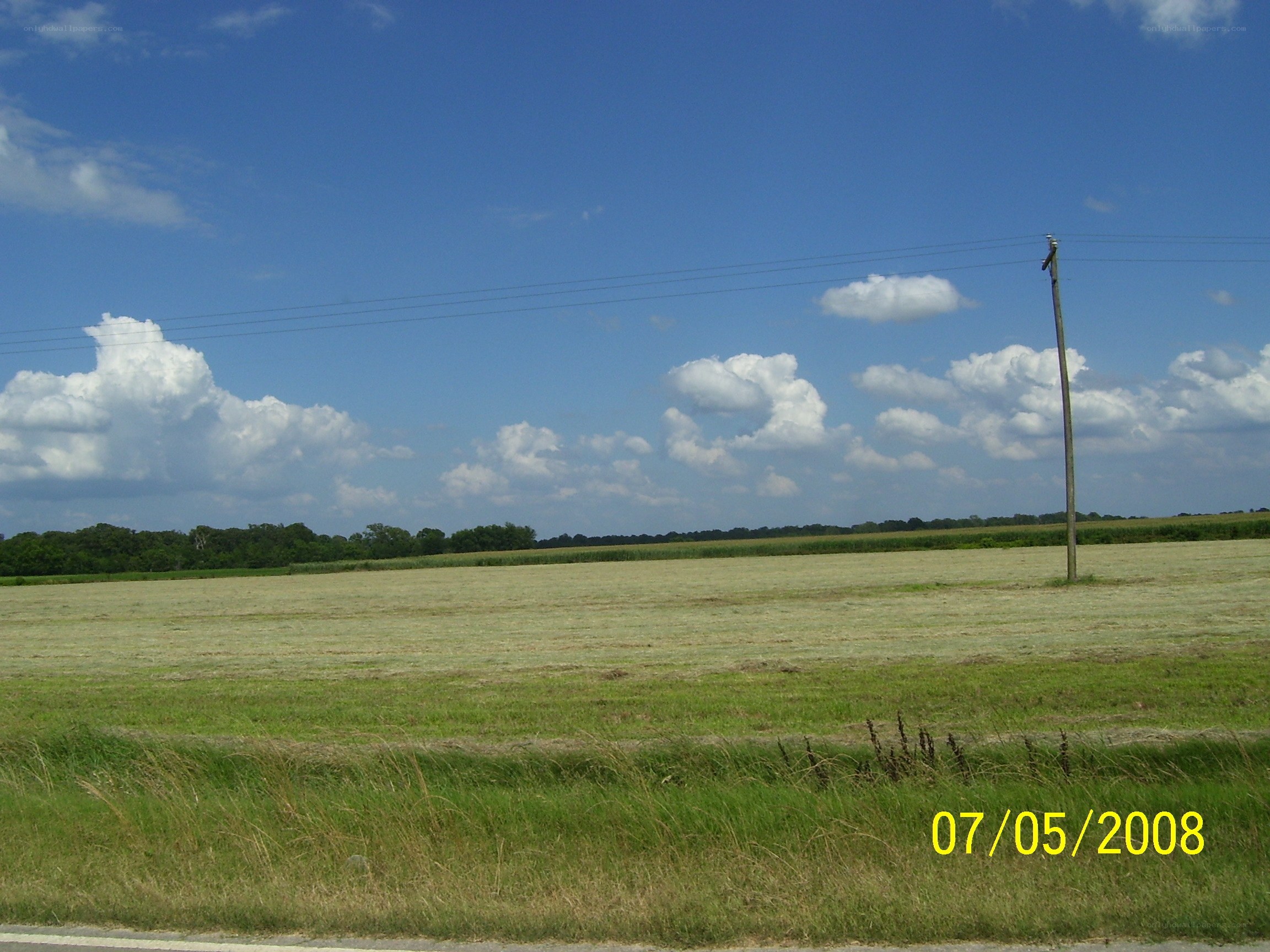 Rural field with power lines