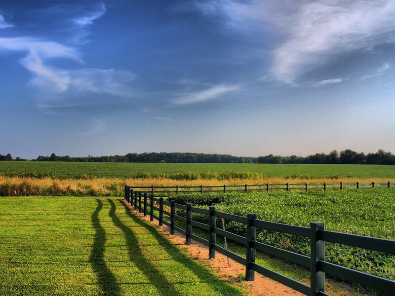 Rural field with wooden fence