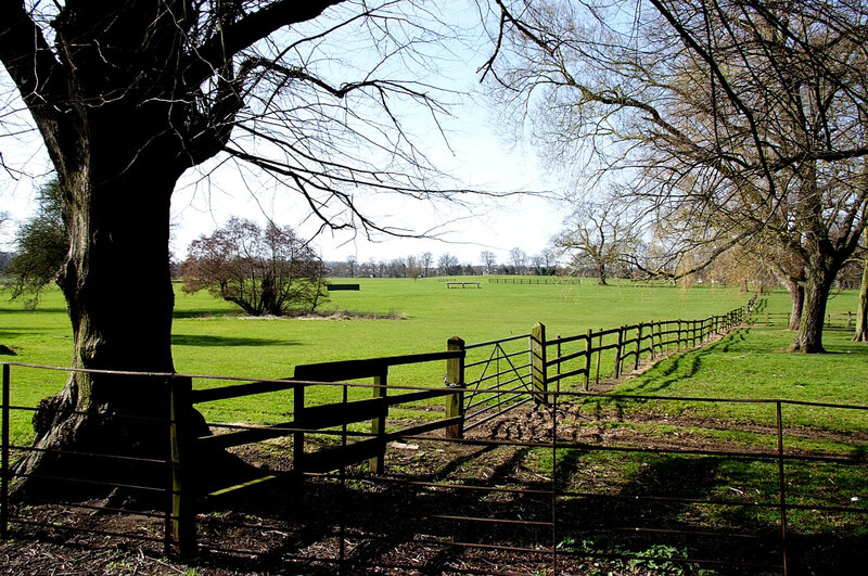 Rural field with wooden fence