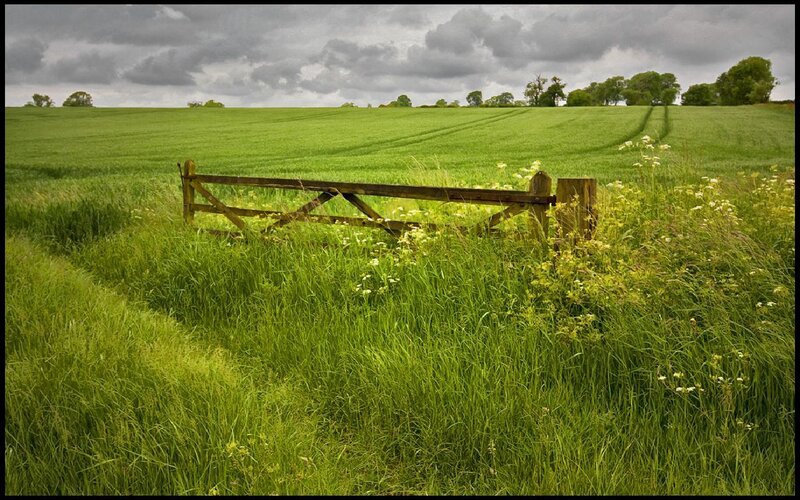 Rural field with wooden gate