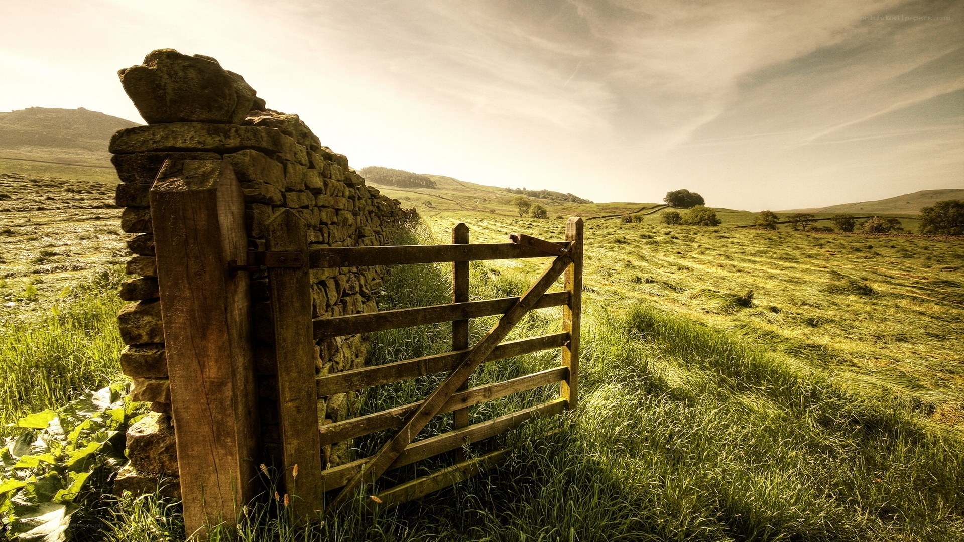 Rural gate in a green field