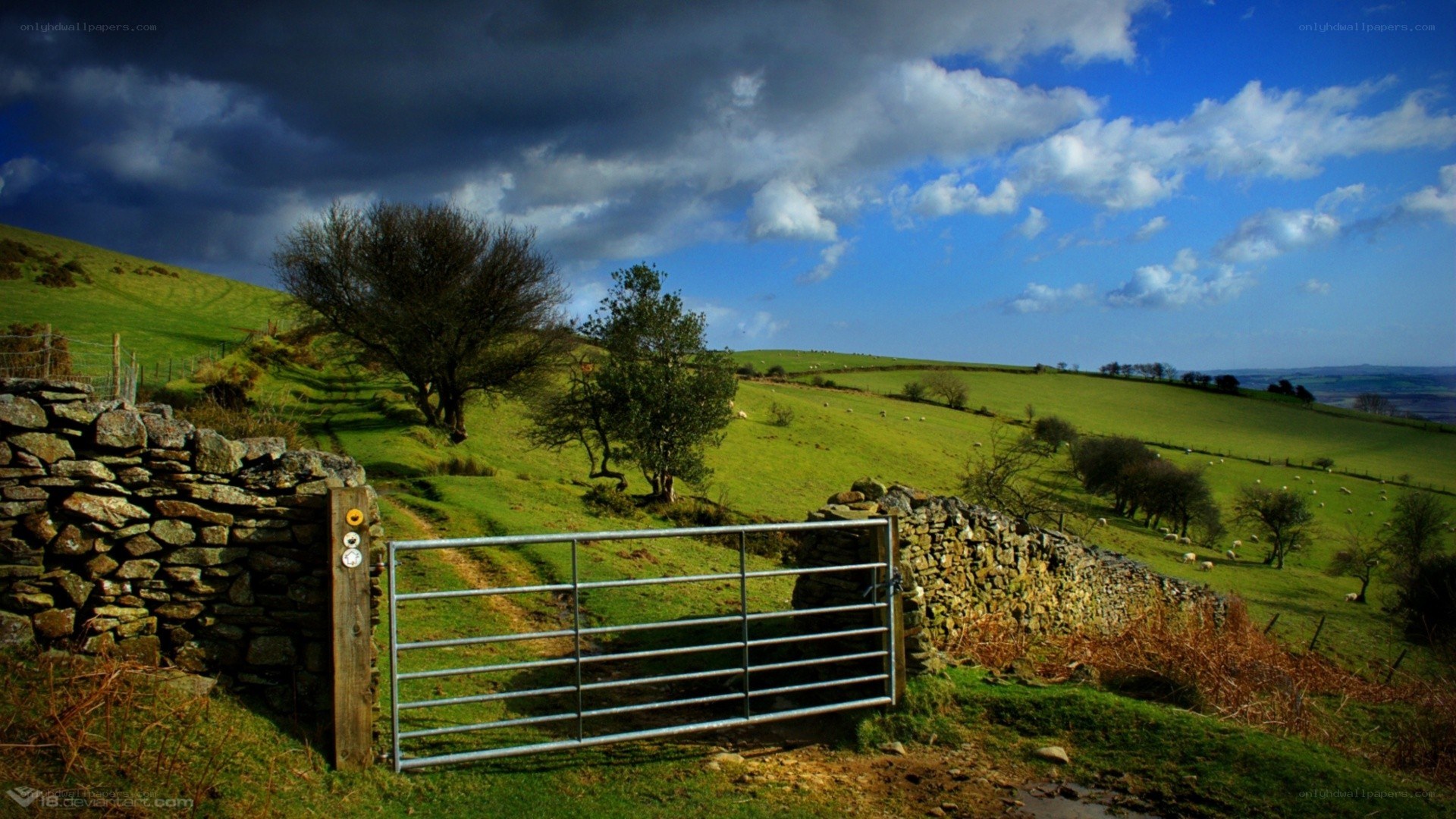 Rural gate on a green hillside