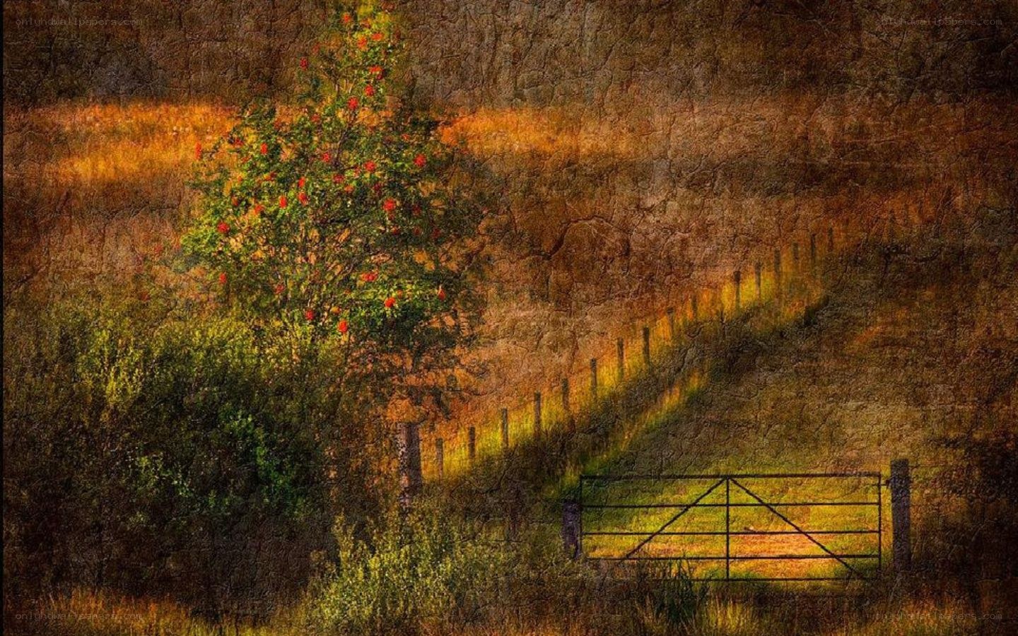 Rural gate with flowering tree