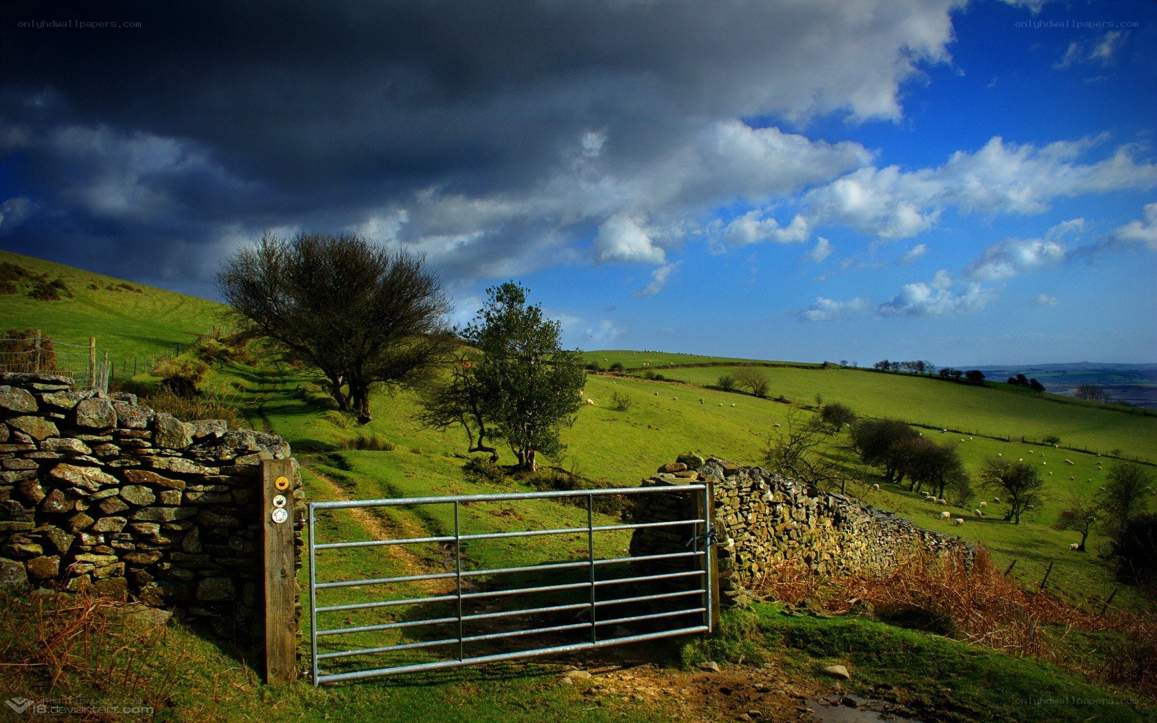Rural gate with rolling hills