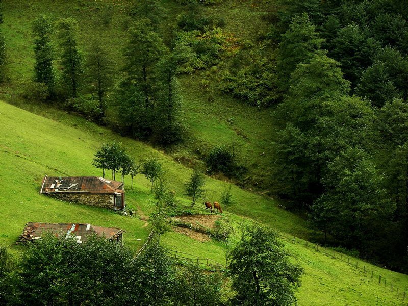 rural hillside with farmhouses