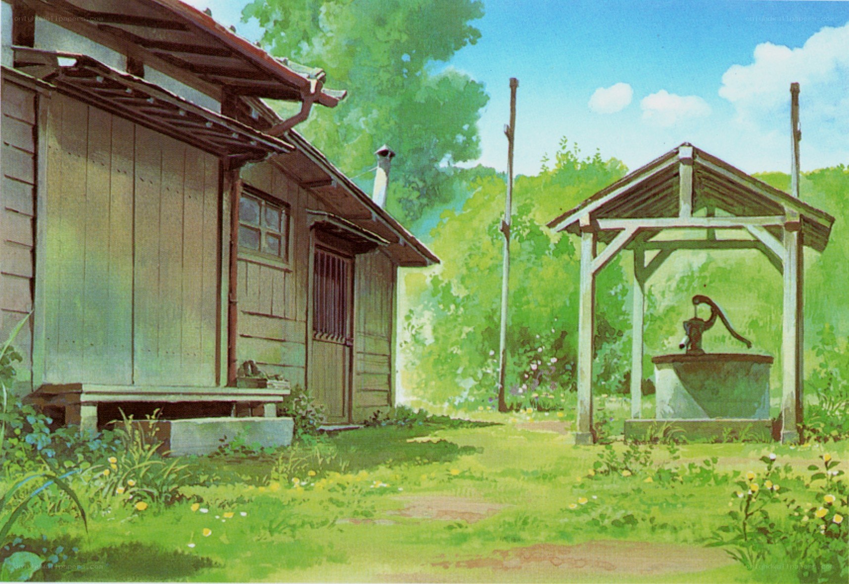 Rural house and well