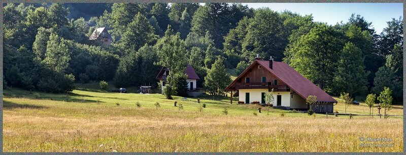 Rural house in a forested valley