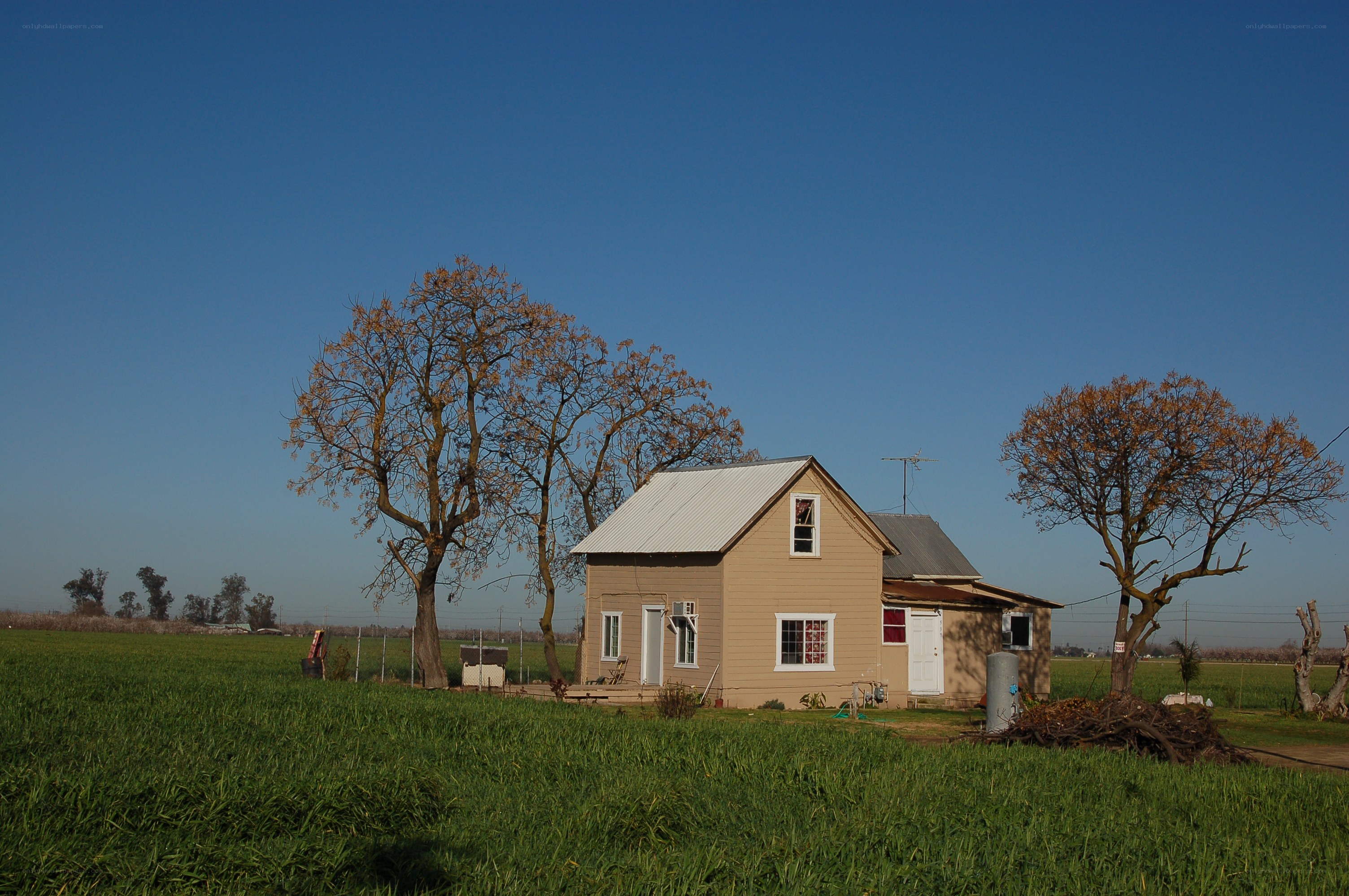 Rural house in green field